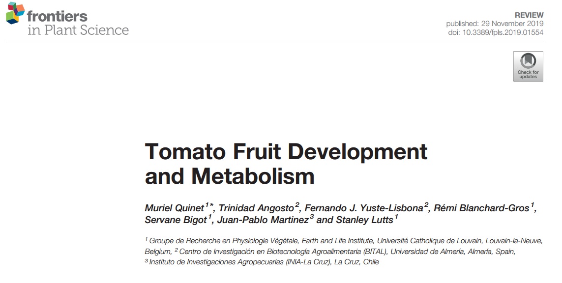 Tomato Fruit Development and Metabolism